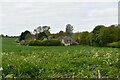 Dalham: Cottages in Lidgate Road