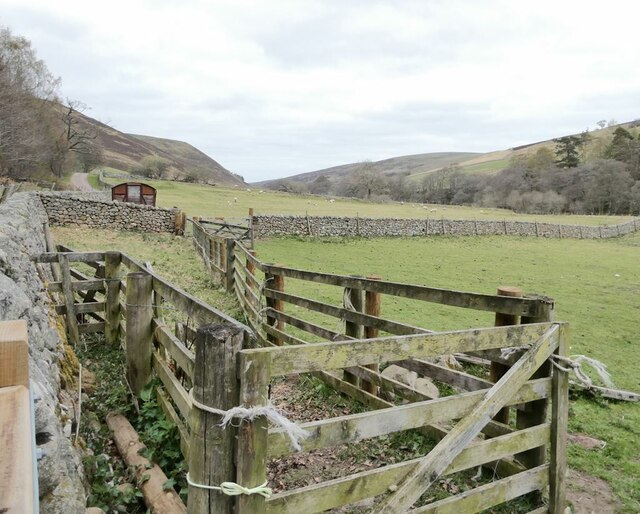 Livestock pen in the Harthope valley