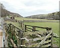 NT9522 : Livestock pen in the Harthope valley by Oliver Dixon