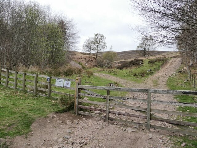 Start of the path up to the Cheviot
