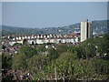 A Windmill Hill skyline