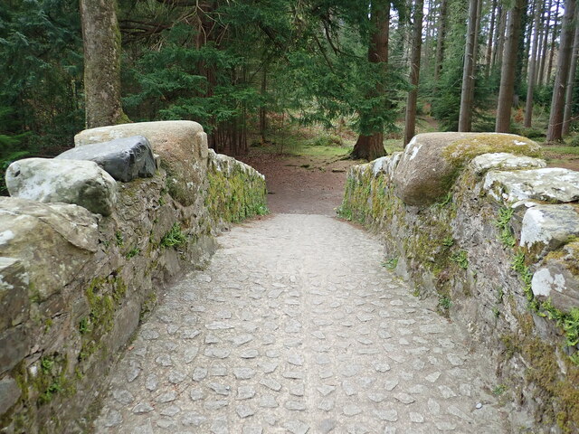 Crossing the Foley Alpine footbridge at Tollymore Park