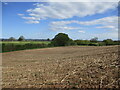 SO7288 : Stubble field near Chelmarsh by Jonathan Thacker