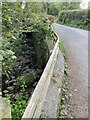 Road bridge over stream