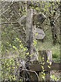 Old wooden signpost