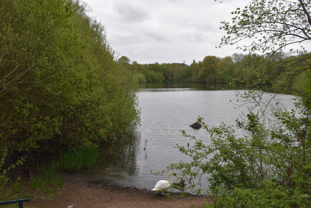 Swan Lake - Queslett, West Midlands