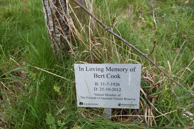 Bert Cook memorial tree - Queslett, West Midlands