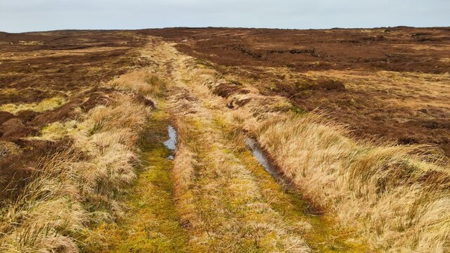 Peatland Track © Robert Bone cc-by-sa/2.0 :: Geograph Britain and Ireland