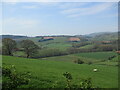 The Monnow Valley near Garway