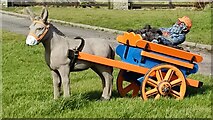 B6714 : Donkey and Cart by Robert Bone