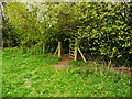 Gate at the edge of a playing field, North Bierley