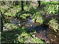 SM8920 : Camrose Brook near Frog's Hole by Jeff Gogarty