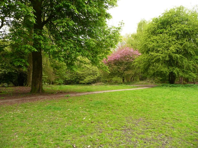 Grass and trees on the site of Bierley Hall, North Bierley