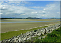 SD4779 : The Kent estuary at Arnside by Mary and Angus Hogg