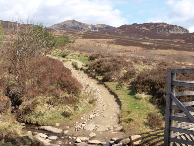 Ben Vrackie track leaves the trees