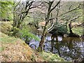 NM8653 : Glengalmadale River by Steven Brown
