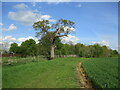 Footpath to Sutton Road (Eyeworth)