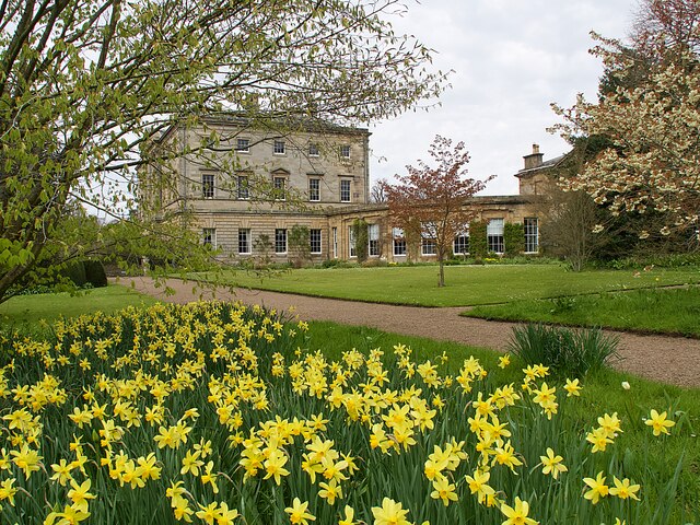 Spring flowers at Howick Hall