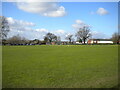 Cricket ground, Coleshill (2)