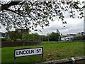 Lincoln Street View