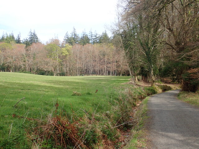Tarred estate road separating parkland and forest in the eastern section of Tollymore Park