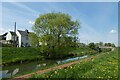 Canal and houses