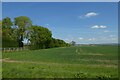 Field beside Wallingfen Lane