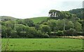 View from train at Dolwyd