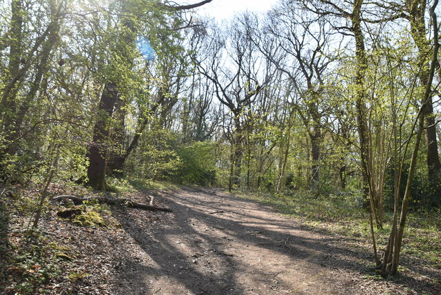 Forestdale, Croydon - area information, map, walks and more