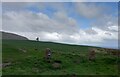 Cleveland Way, gateposts