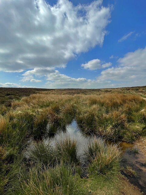 Standing water on Totley Moss