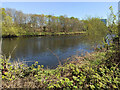 The River Clyde at Glasgow