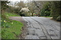 Lane to Cowbeech Hill