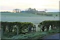 Across the fields to Oldwalls