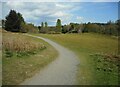 Path in Haigh Hills Park