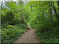 Bridleway 1544 towards Buckswood Drive