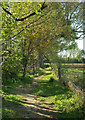 Footpath, Warlingham