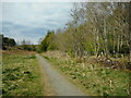 Footpath, Laigh Hills Park