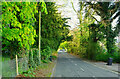 Church Road, Whyteleafe