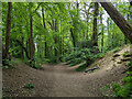 Bridleway 1544 towards Broadfield Brook