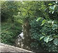 The River Alyn at Loggerheads