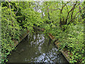 Broadfield Brook looking upstream