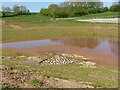 SK6243 : Attenuation pond, Colliery Way, Gedling by Alan Murray-Rust