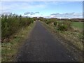 NZ3847 : Disused Durham and Sunderland Railway now a Cycle Route by Clive Nicholson