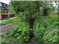 Drain, Mitford Walk, Bewbush, Crawley