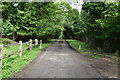 Footpath, Horney Common