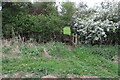 Footpath through the hedge to Overthorpe