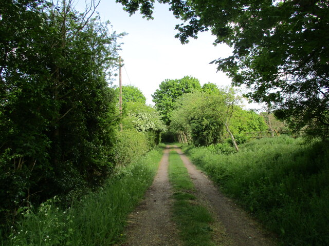 Crow Spinney, Central Bedfordshire - area information, map, walks and more