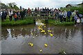 Chettiscombe : Town Leat