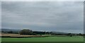 View towards Slimbridge